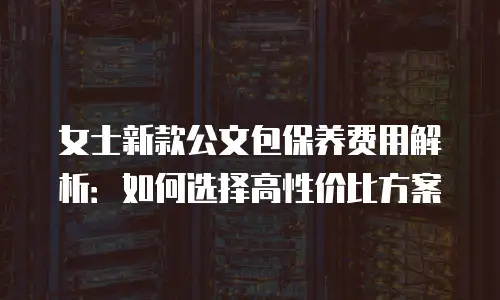 女士新款公文包保养费用解析：如何选择高性价比方案