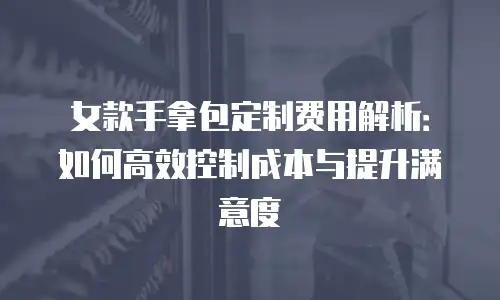 女款手拿包定制费用解析：如何高效控制成本与提升满意度