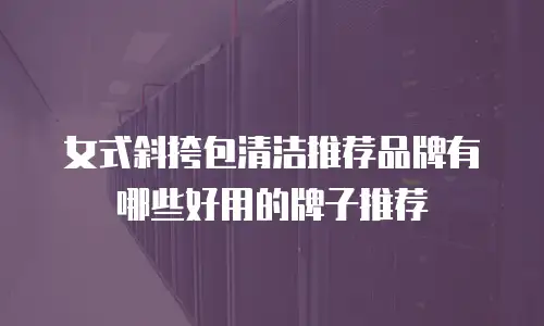 女式斜挎包清洁推荐品牌有哪些好用的牌子推荐