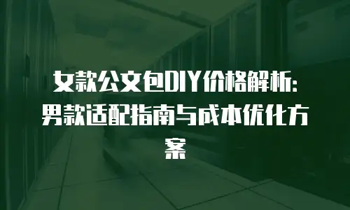 女款公文包DIY价格解析：男款适配指南与成本优化方案