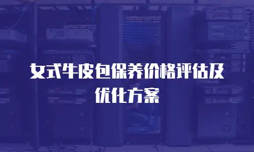 女式牛皮包保养价格评估及优化方案