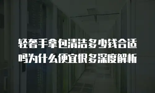 轻奢手拿包清洁多少钱合适吗为什么便宜很多深度解析