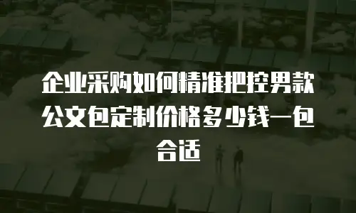 企业采购如何精准把控男款公文包定制价格多少钱一包合适