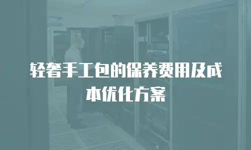 轻奢手工包的保养费用及成本优化方案