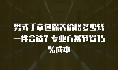 男式手拿包保养价格多少钱一件合适？专业方案节省15%成本