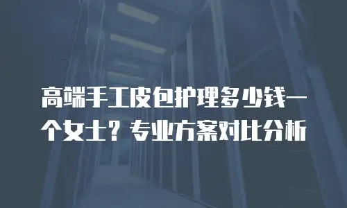 高端手工皮包护理多少钱一个女士？专业方案对比分析