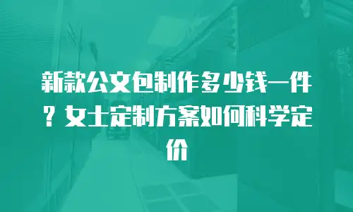 新款公文包制作多少钱一件？女士定制方案如何科学定价