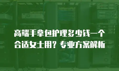 高端手拿包护理多少钱一个合适女士用？专业方案解析