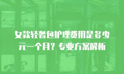 女款轻奢包护理费用是多少元一个月？专业方案解析