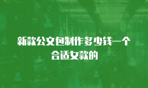 新款公文包制作多少钱一个合适女款的