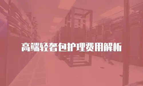 高端轻奢包护理费用解析