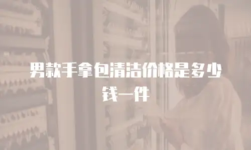 男款手拿包清洁价格是多少钱一件