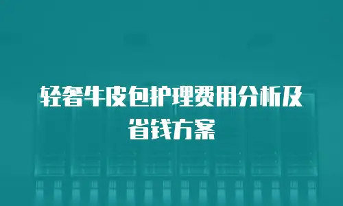 轻奢牛皮包护理费用分析及省钱方案