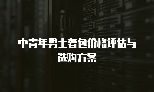中青年男士奢包价格评估与选购方案