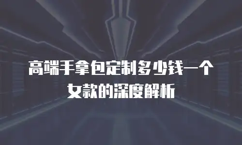 高端手拿包定制多少钱一个女款的深度解析