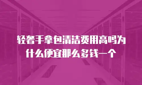 轻奢手拿包清洁费用高吗为什么便宜那么多钱一个