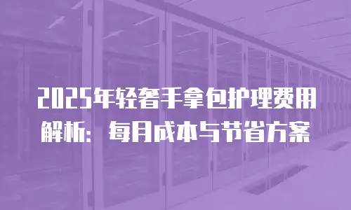 2025年轻奢手拿包护理费用解析：每月成本与节省方案
