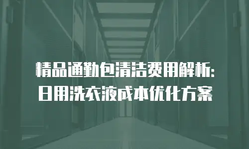 精品通勤包清洁费用解析：日用洗衣液成本优化方案