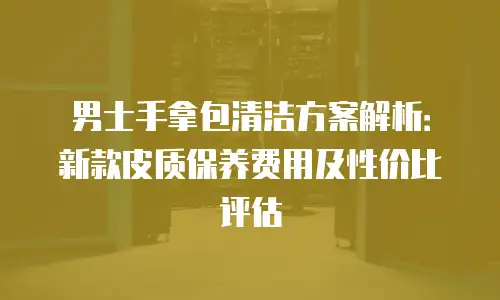 男士手拿包清洁方案解析：新款皮质保养费用及性价比评估