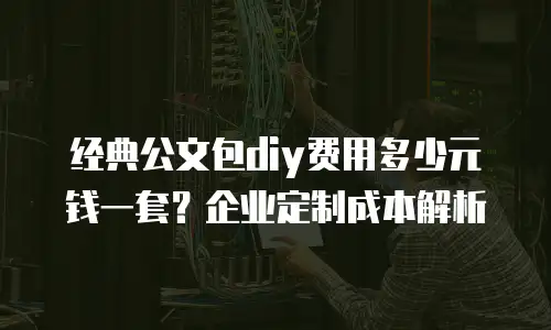 经典公文包diy费用多少元钱一套？企业定制成本解析