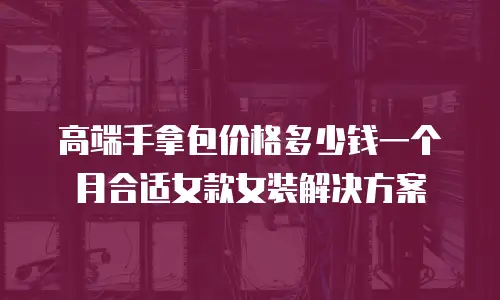 高端手拿包价格多少钱一个月合适女款女装解决方案