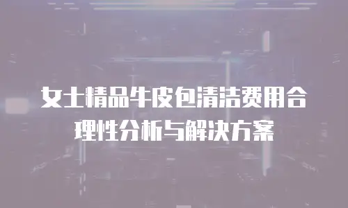 女士精品牛皮包清洁费用合理性分析与解决方案