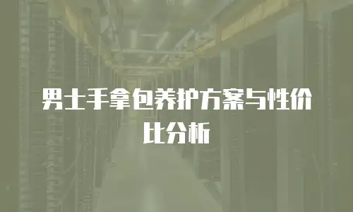 男士手拿包养护方案与性价比分析