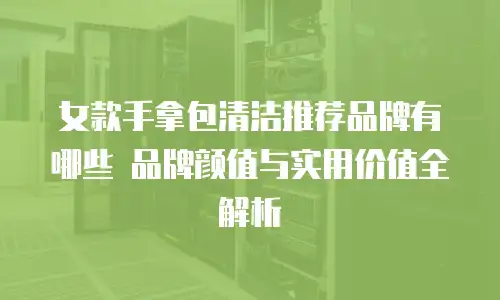 女款手拿包清洁推荐品牌有哪些 品牌颜值与实用价值全解析