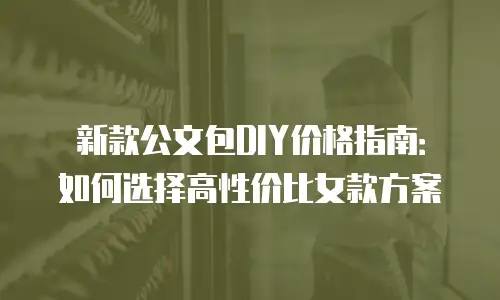 新款公文包DIY价格指南：如何选择高性价比女款方案