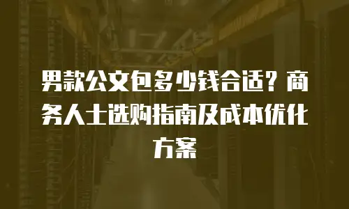 男款公文包多少钱合适？商务人士选购指南及成本优化方案