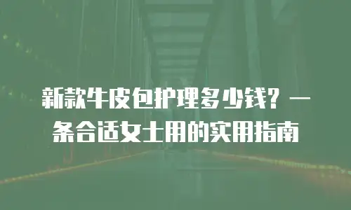 新款牛皮包护理多少钱？一条合适女士用的实用指南