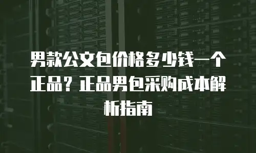 男款公文包价格多少钱一个正品？正品男包采购成本解析指南