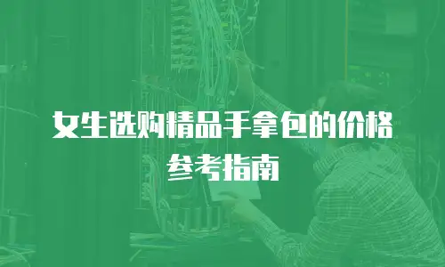 女生选购精品手拿包的价格参考指南