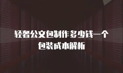 轻奢公文包制作多少钱一个包装成本解析