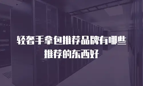 轻奢手拿包推荐品牌有哪些推荐的东西好