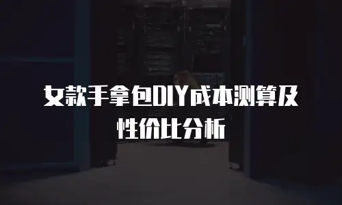 女款手拿包DIY成本测算及性价比分析