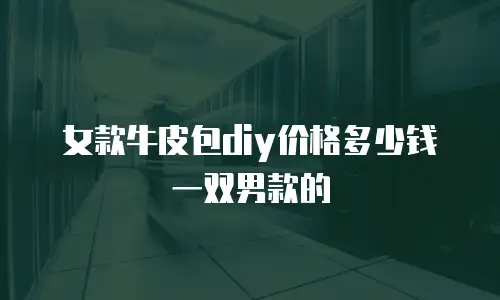 女款牛皮包diy价格多少钱一双男款的