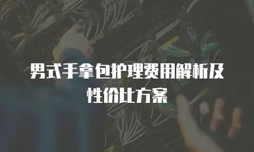 男式手拿包护理费用解析及性价比方案