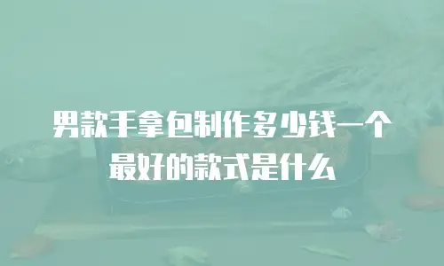 男款手拿包制作多少钱一个最好的款式是什么