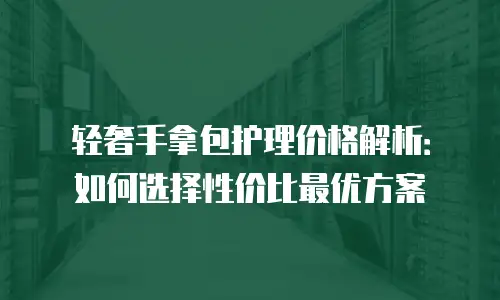 轻奢手拿包护理价格解析：如何选择性价比最优方案