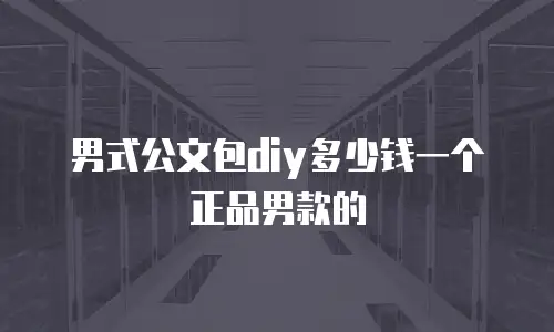 男式公文包diy多少钱一个正品男款的