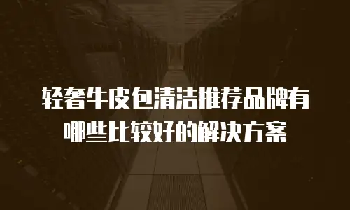 轻奢牛皮包清洁推荐品牌有哪些比较好的解决方案