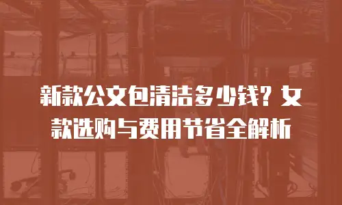 新款公文包清洁多少钱？女款选购与费用节省全解析