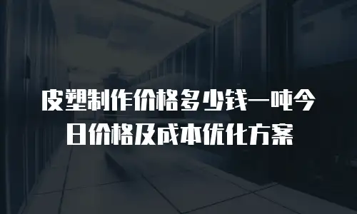 皮塑制作价格多少钱一吨今日价格及成本优化方案