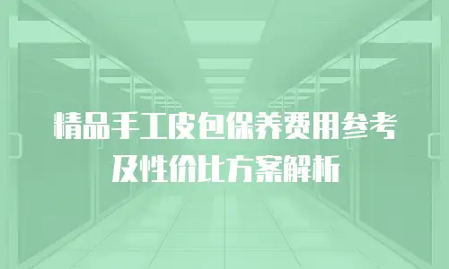 精品手工皮包保养费用参考及性价比方案解析