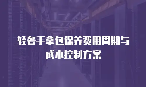 轻奢手拿包保养费用周期与成本控制方案