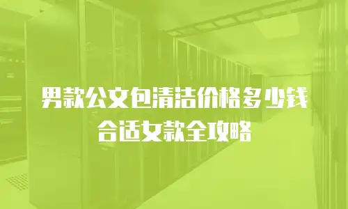 男款公文包清洁价格多少钱合适女款全攻略