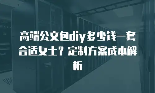 高端公文包diy多少钱一套合适女士？定制方案成本解析