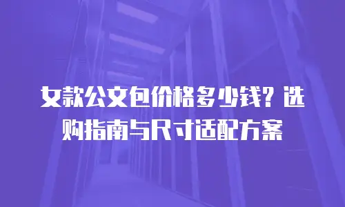 女款公文包价格多少钱？选购指南与尺寸适配方案