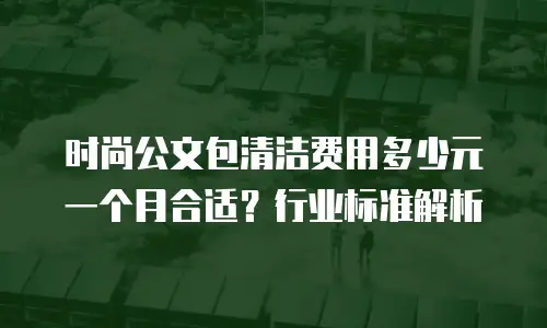 时尚公文包清洁费用多少元一个月合适？行业标准解析